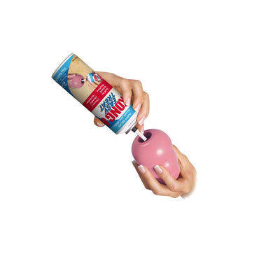 Kong Easy Treat Puppy- Sabor A Pollo