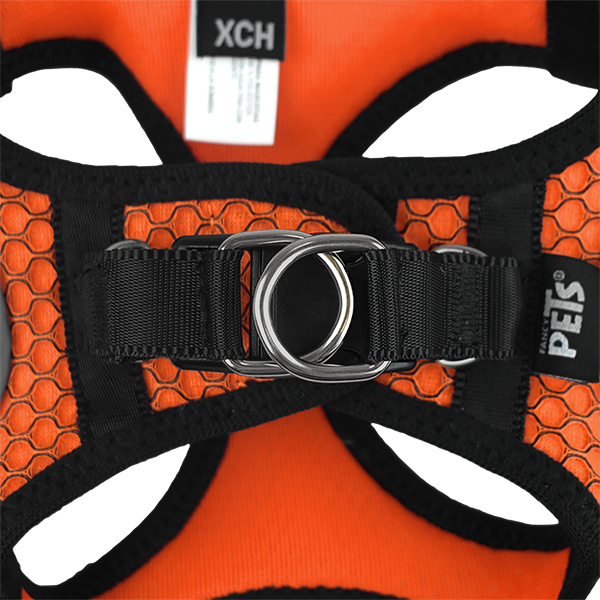 Fancy Pets Arnes Y Correa Sportie Xch Naranja