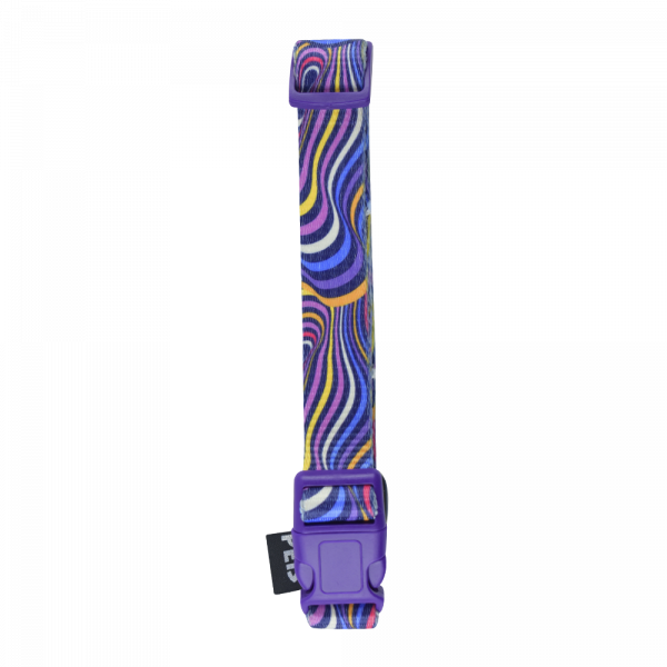 Fancy Pets Collar Ch Aqua Pop P/Perro Galeria