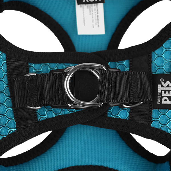 Fancy Pets Arnes Y Correa Sportie Xch Azul