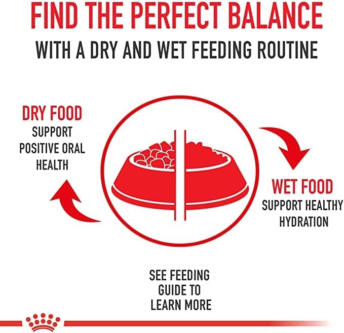 Royal Canin Advance All Dogs Adulto Lata 385 G