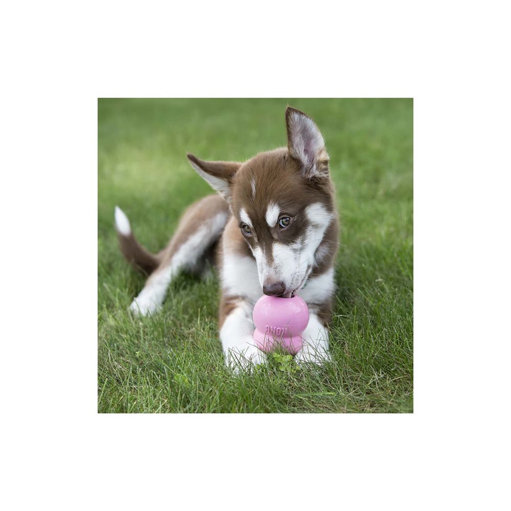 Kong Easy Treat Puppy- Sabor A Pollo