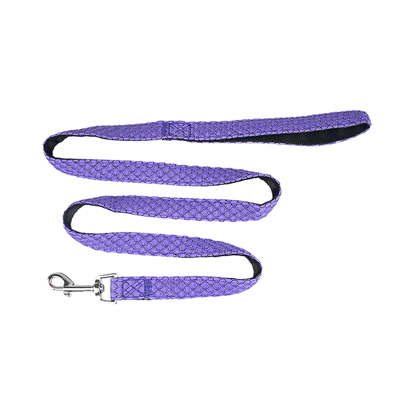 FANCY PETS SET ARNES Y CORREA SPORTIE INT VIOLETA