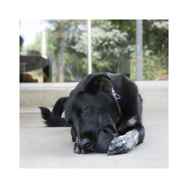 Kong Extreme Mediano