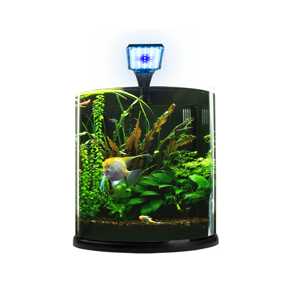 Lomas Acuario Nano Bullet 12LT
