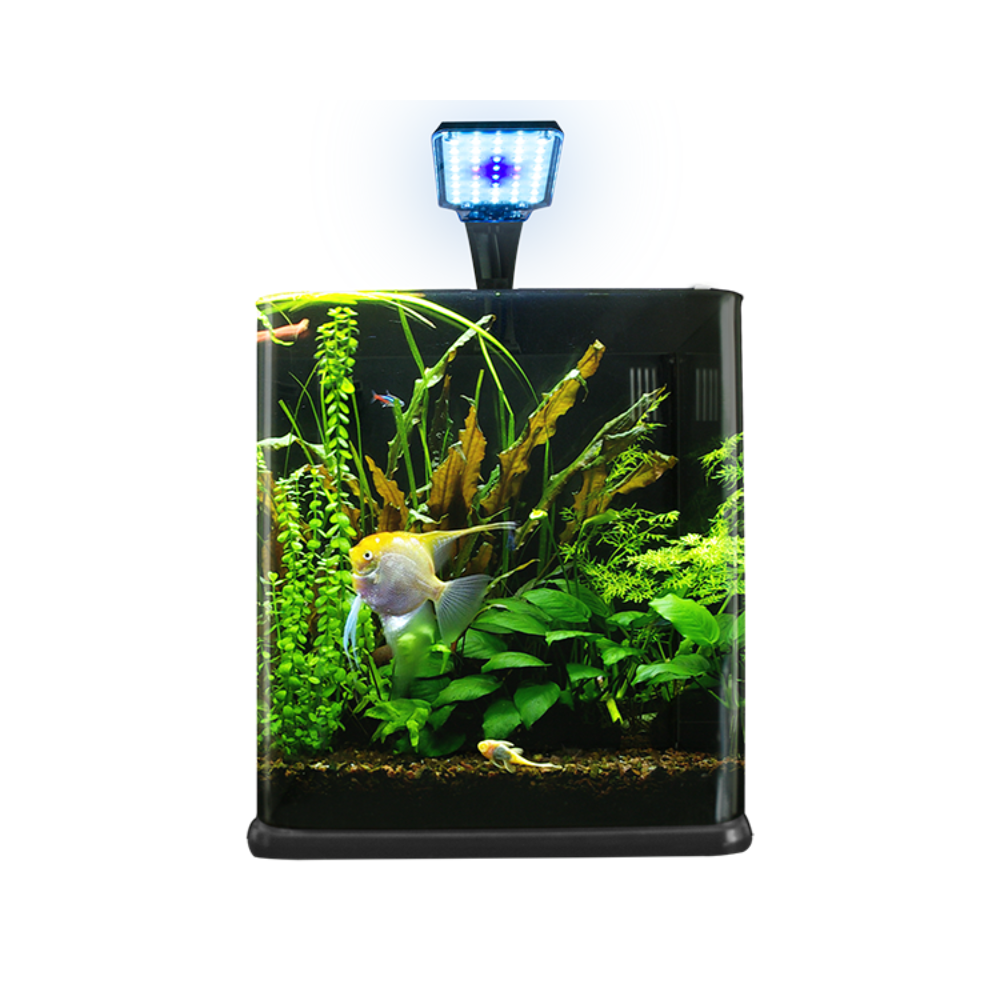 Lomas Acuario Nano Cubo 18LT