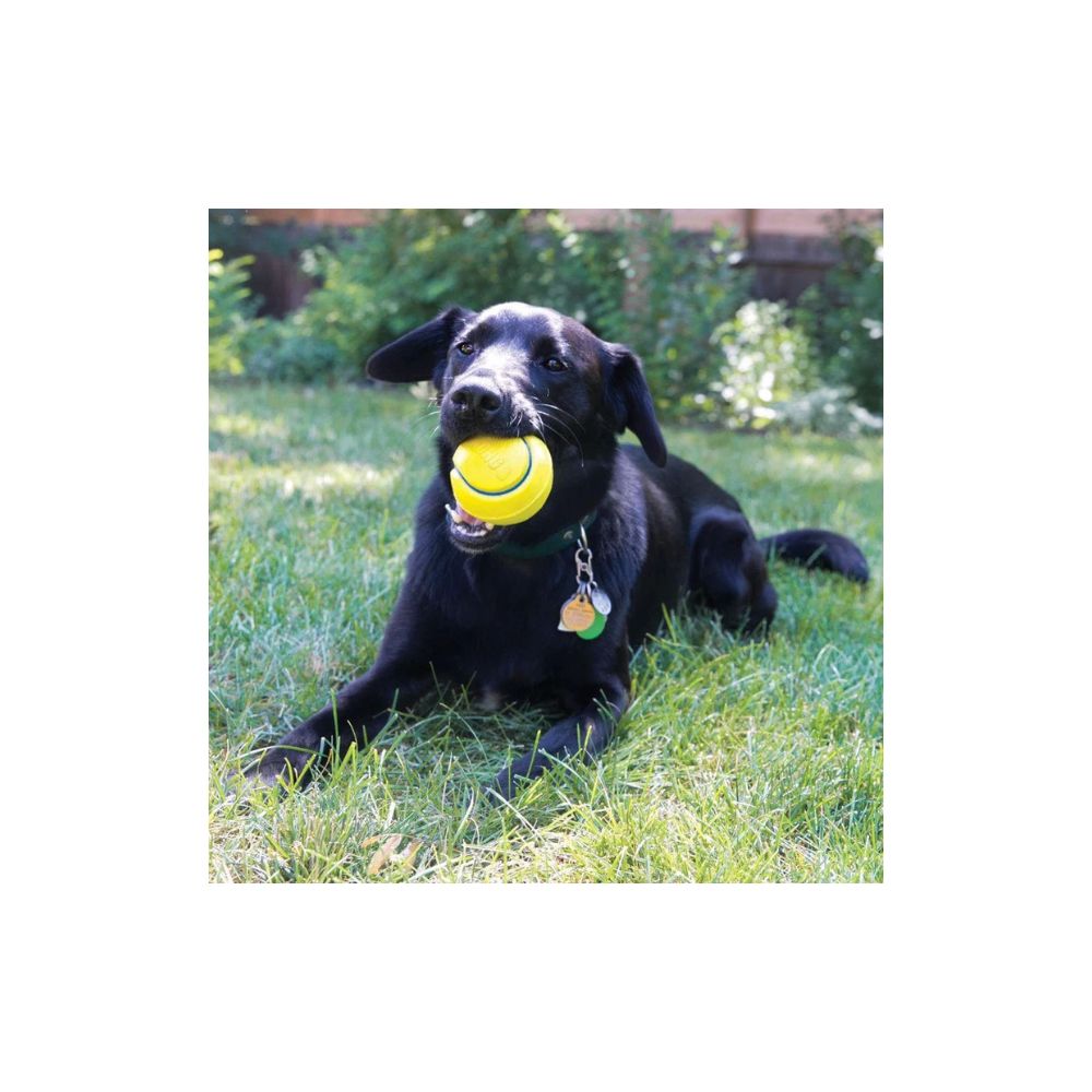 Kong Pelota Tenis Squeezz Gde 1Pz