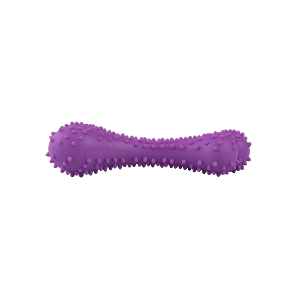 FANCY PETS JUGUETE CAUCHO HUESO DE POLLO CH SPIKY