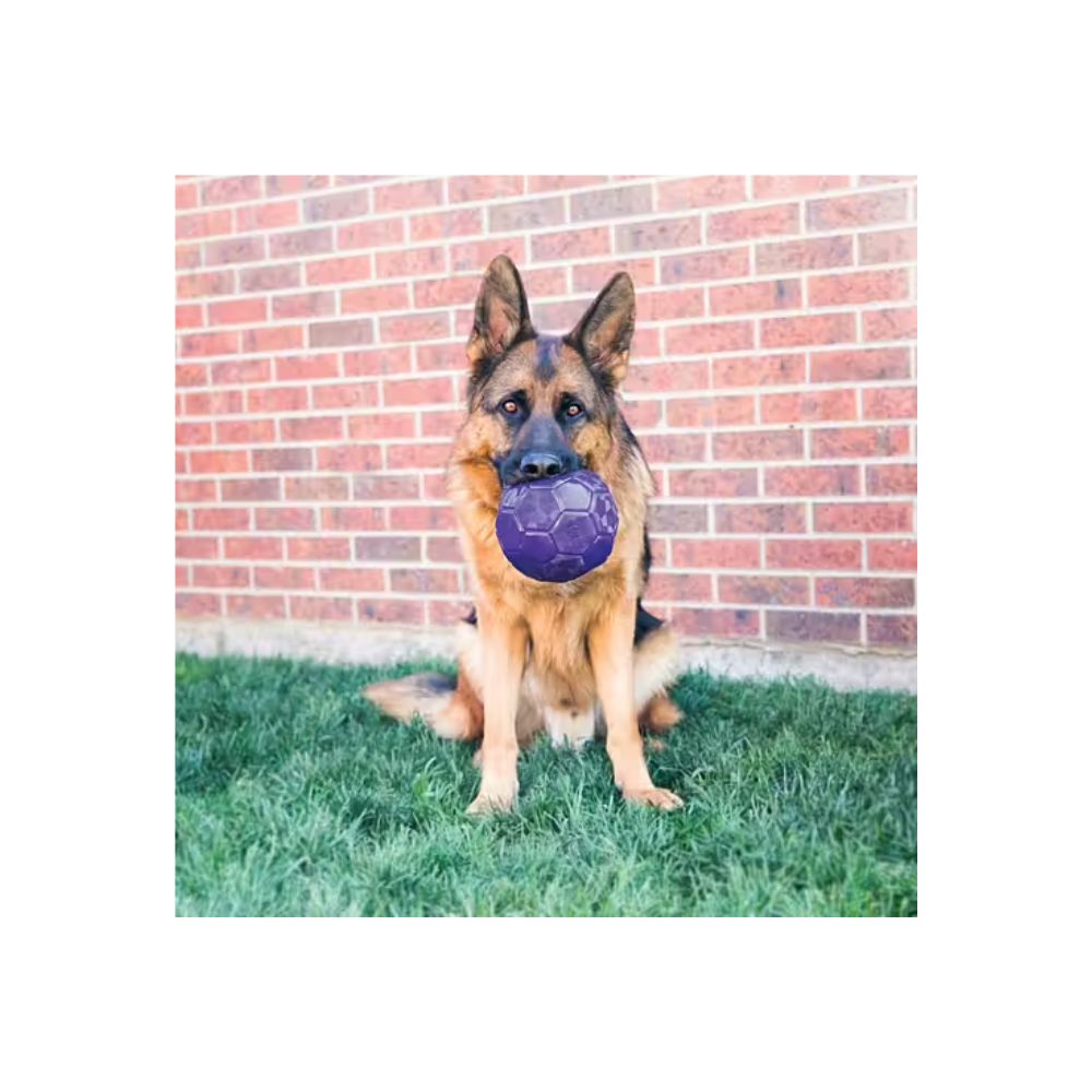 Kong Flexball