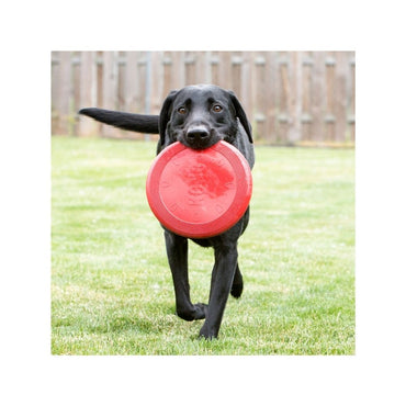 Kong Flyter Zone De Naylon