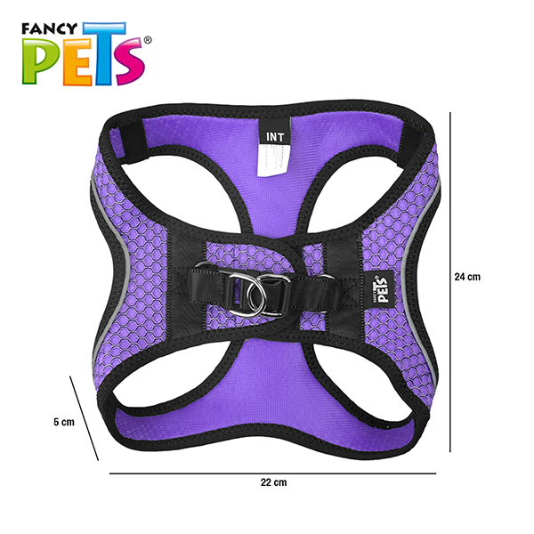 FANCY PETS SET ARNES Y CORREA SPORTIE INT VIOLETA