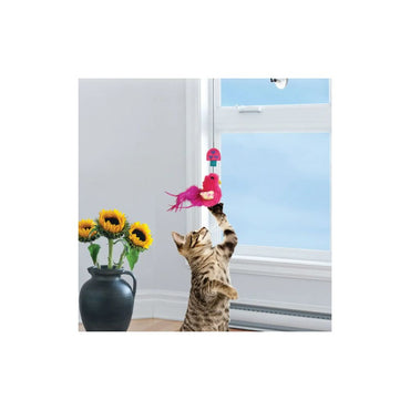 Kong Ave Con Succion Para Vidrio