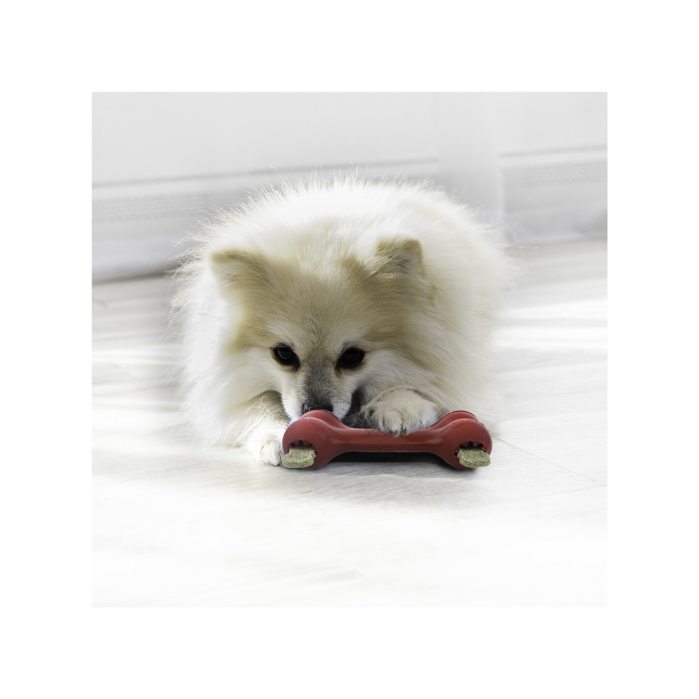 Kong Goodie Bone Small