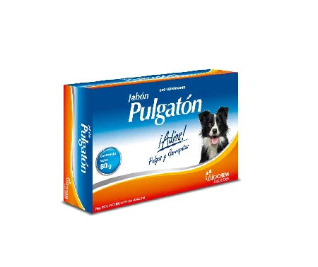 Biochem Pulgaton Jabon 80 G