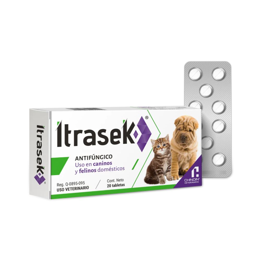 Chinoin Itrasek 100Mg/20 Tab