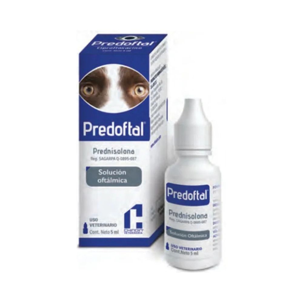 Chinoin Predoftal 5 Ml Oftalmico