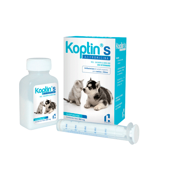 Chinoin Koptin S 900 G Oral