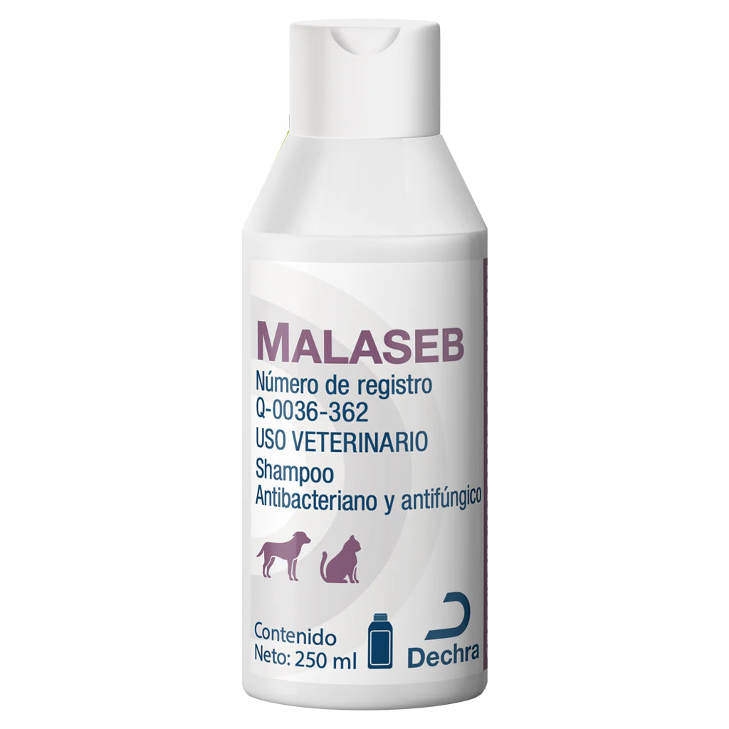 Dechra Malaseb Shampoo 250 Ml CANEFARMA Dechra Malaseb Shampoo 250 Ml CANEFARMA