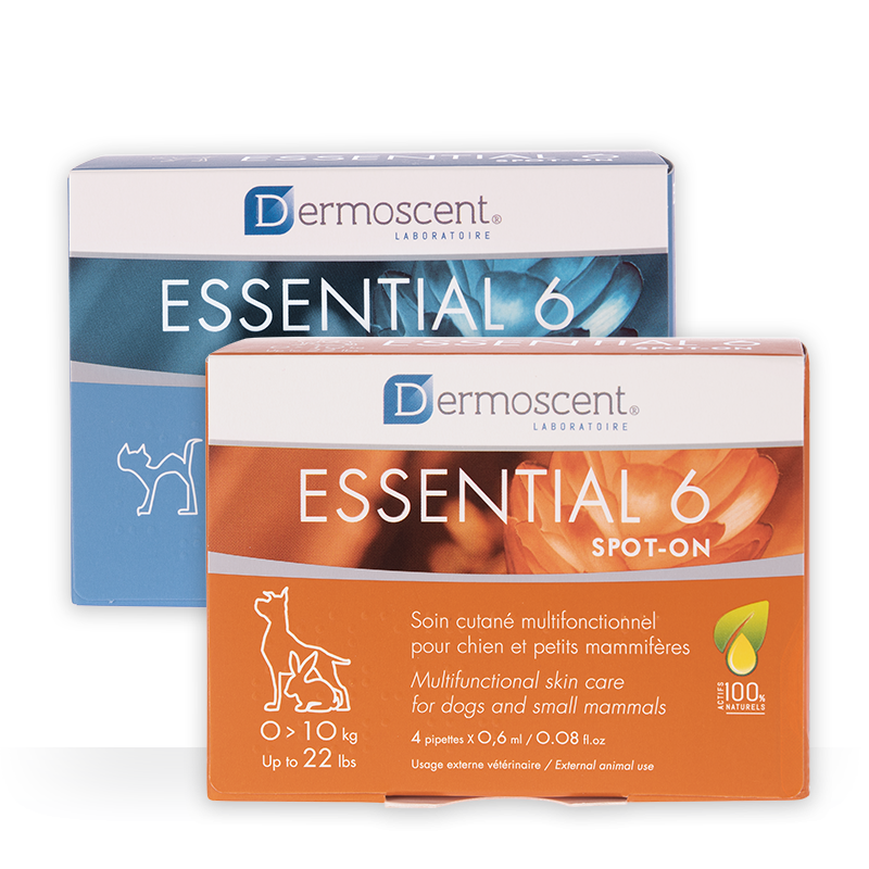 DERMOSCENT ESSENTIAL 6 SPOT 1-10KG 4 PIP