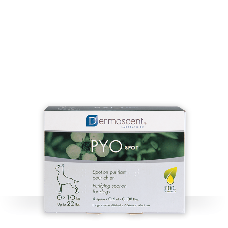 Dermoscent Pyo Spot 1-10Kg 4 Pip