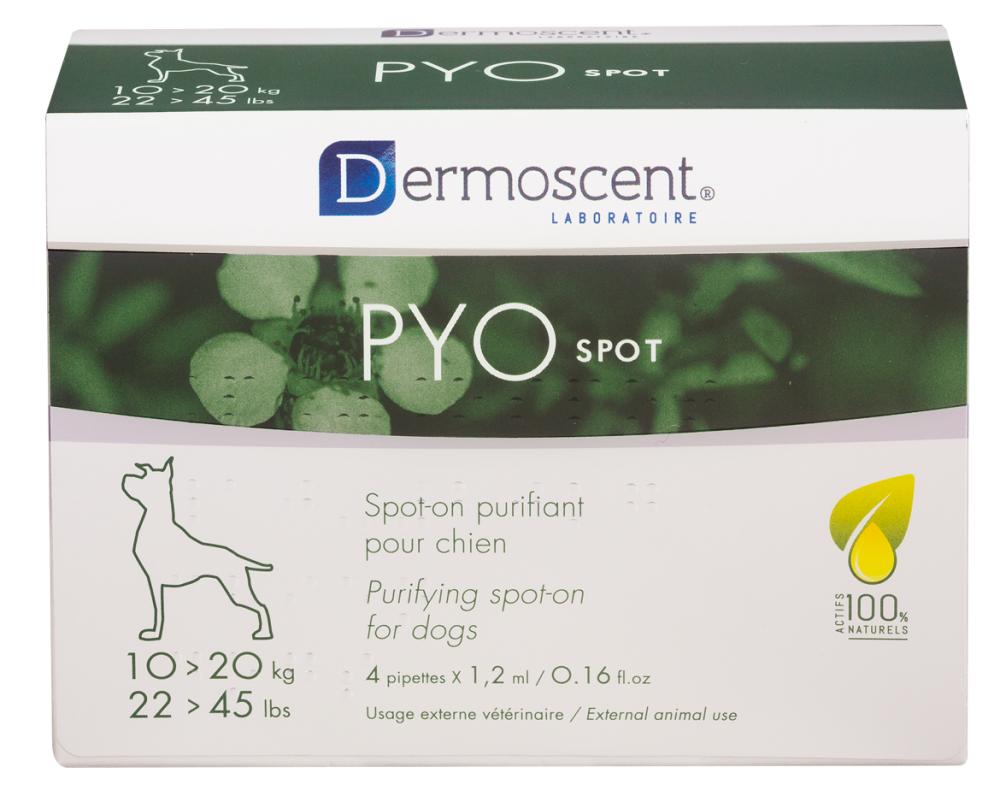 Dermoscent Pyo Spot 10-20Kg 4 Pip