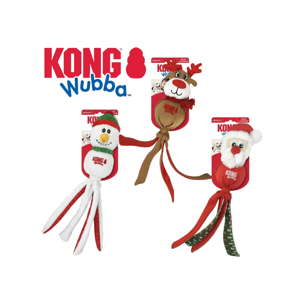 Kong Holliday Wubba Flatz Large