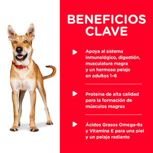 HILLS Adult Original LATA 370 G (Perros adultos de 1 - 6 años)
