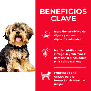 HILLS Adult Small Paws 7KG (Perros adultos de 1 - 6 años raza pequeña y miniatura)