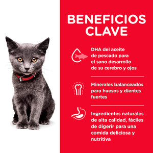 HILLS Feline Kitten Indoor 1.6KG