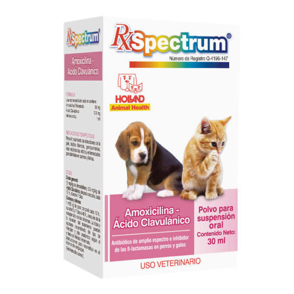 Holland Rx Spectrum Amoxicilina 50Mg Susp 30 Ml
