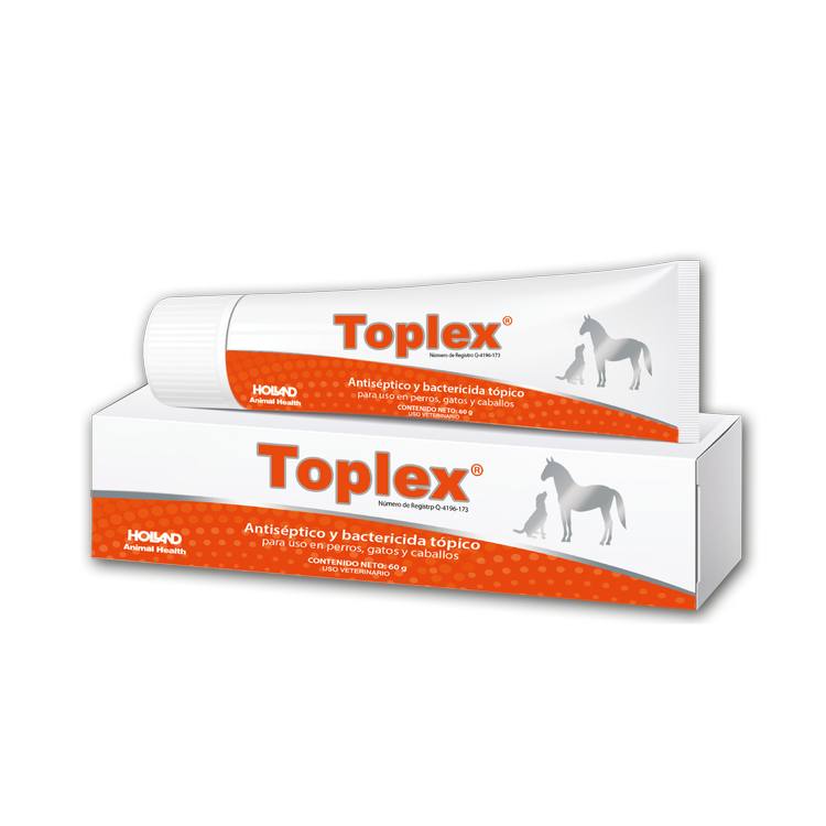 Holland Toplex 60 G
