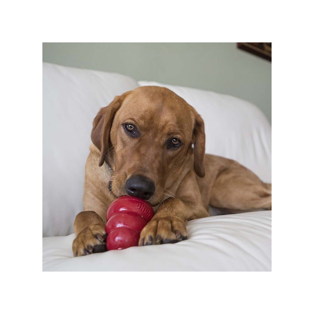 Kong Galleta Kong Crema De Cacahuate 198 G