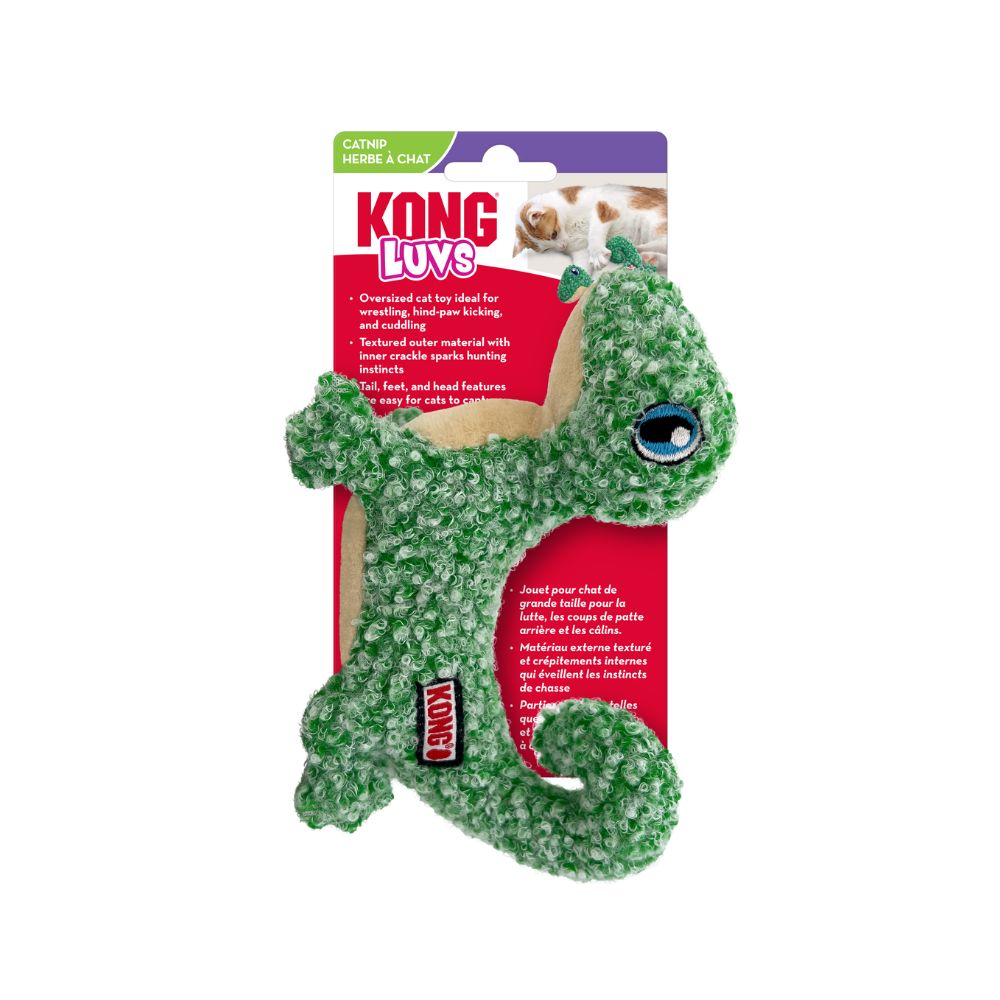 Kong Los Gatos Aman Al Lagarto