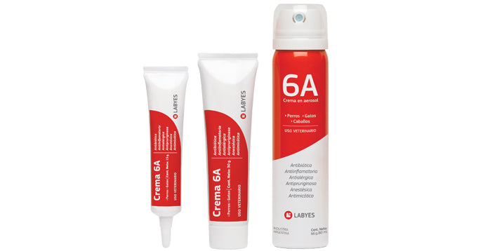 Labyes Crema 6 A 15 G