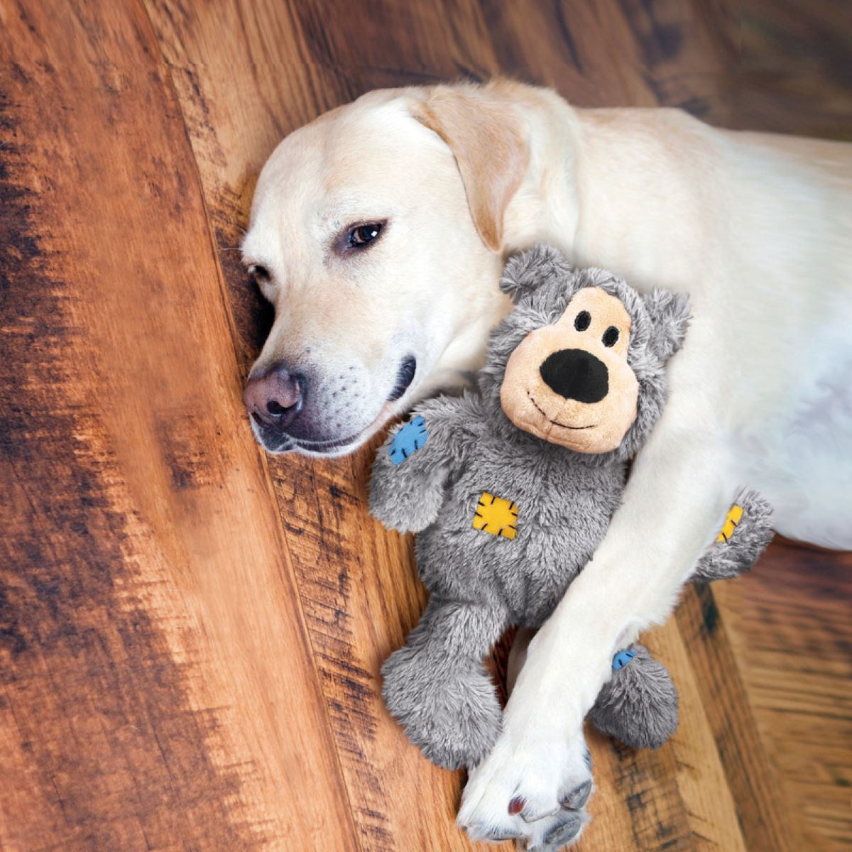 Kong Knots Oso Tierno Cuerda Interna Xch/Ch