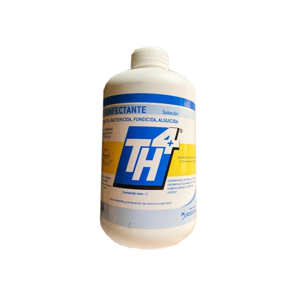 Pisa Th4 Solucion 1L