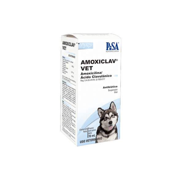 Pisa Amoxiclav Vet Polvo 70 Ml