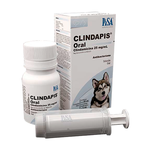 Pisa Clindapis Oral 25Mg 20Ml