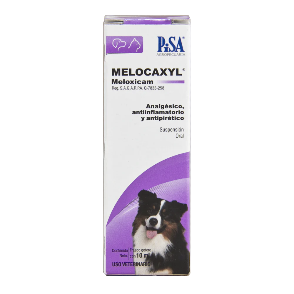 Pisa Melocaxyl Suspensión Oral 1.5Mg 10Ml
