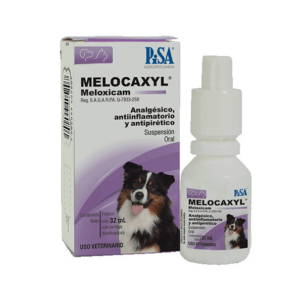 Pisa Melocaxyl Suspensión Oral 1.52Mg 32Ml