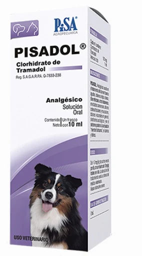 Pisa Pisadol 10 Ml Oral