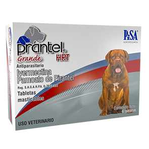 Pisa Prantel Hrt Grande 6 Tabs