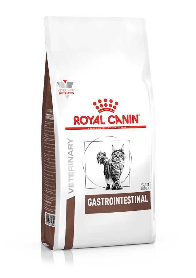 ROYAL CANIN GASTRO-INTESTINAL HIGH ENERGY FELINE 4 KG