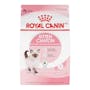 ROYAL CANIN KITTEN CHATON 1.37 KG