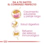 ROYAL CANIN PERSA KITTEN 1.36 KG