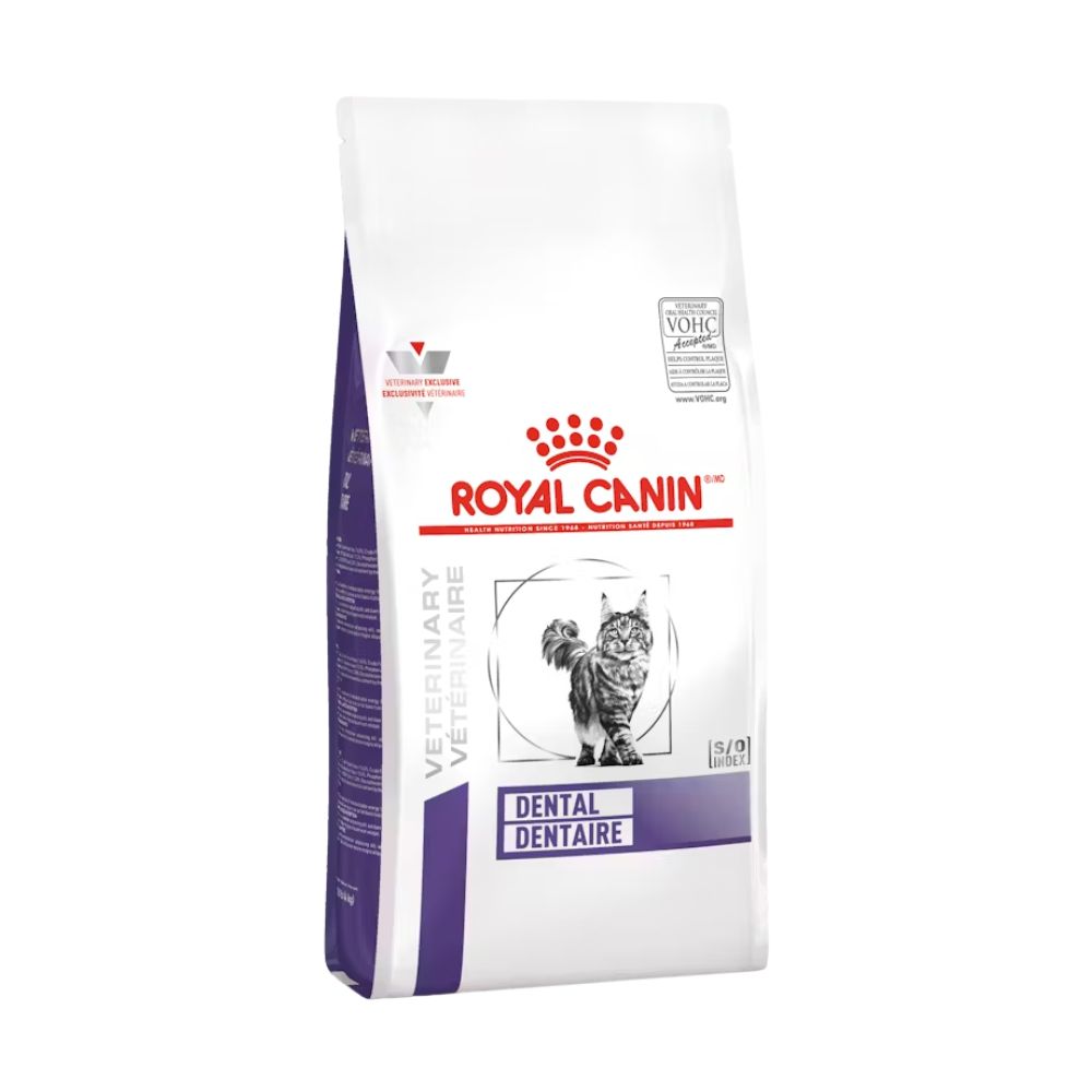 ROYAL CANIN FELINE DENTAL DRY 8 KG