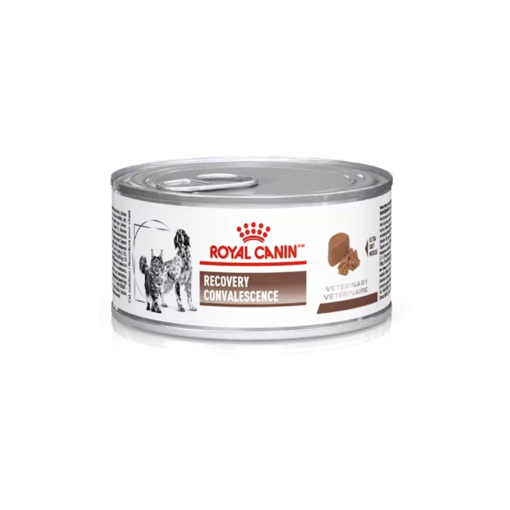 ROYAL CANIN RECOVERY LATA 24 PZ
