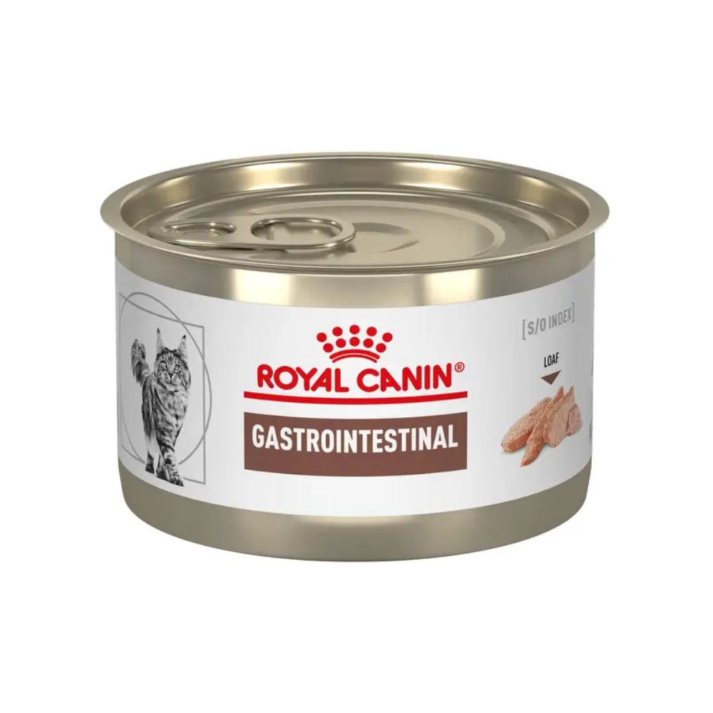 Royal Canin Gastro-Intestinal High Energy Feline Lata 145 G