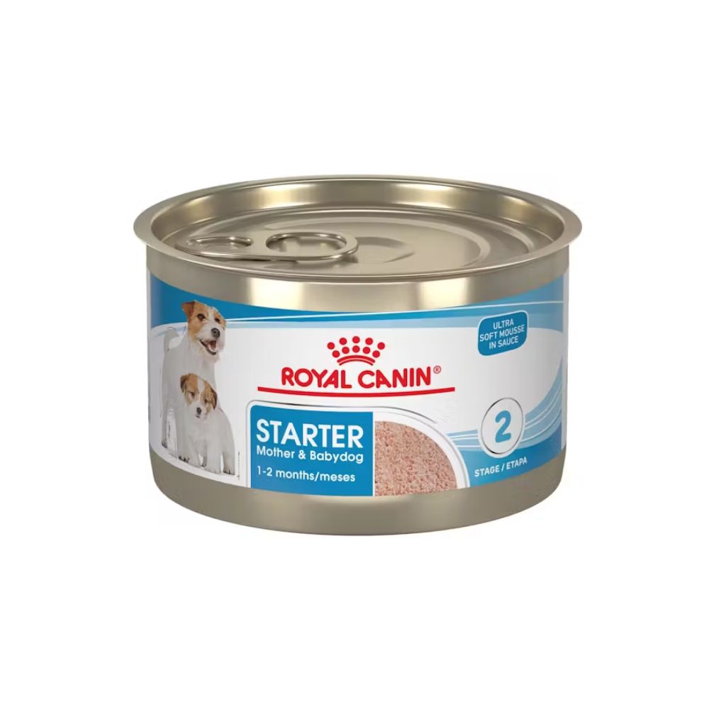 Royal Canin Starter Mousse Lata 145 G