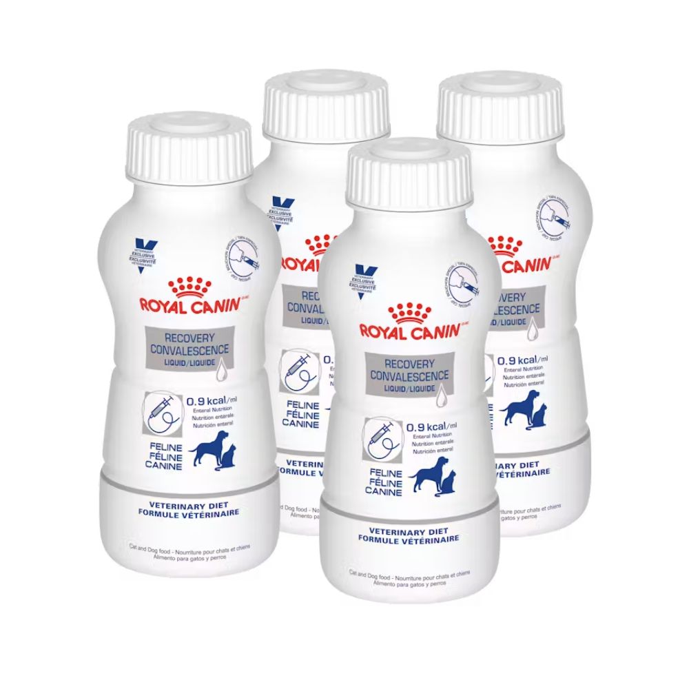 Royal Canin Recovery Convalescence Liquid 4X237 Ml